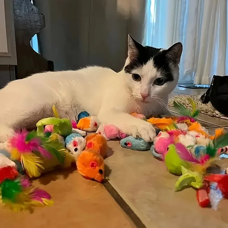 Cat Toy Variety Pack (14 Pieces)