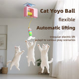 Hanging Door Interactive Cat Toy - Rechargeable Auto Bouncing Teaser